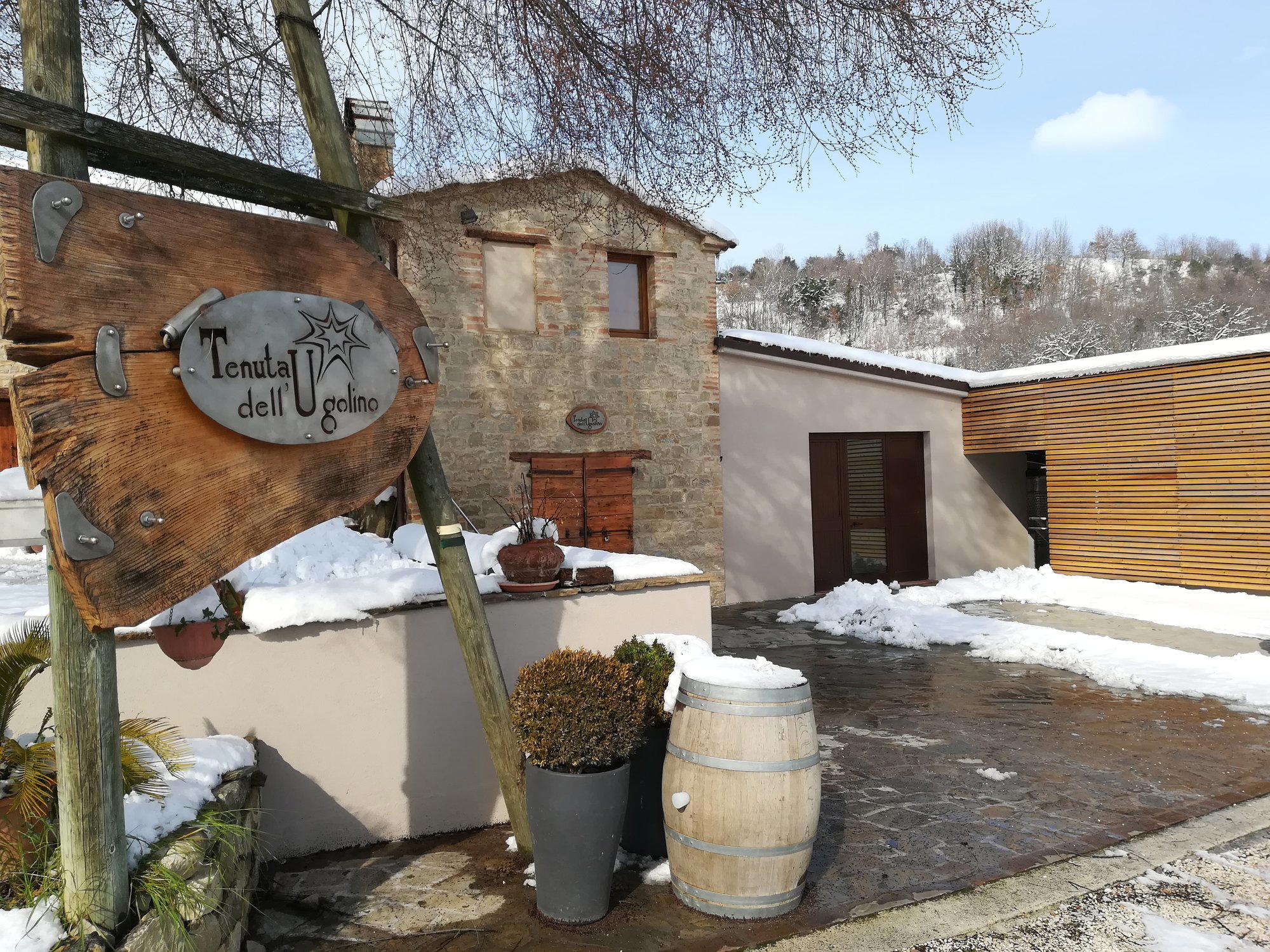 Tenuta dell'Ugolino winery in Castelplanio
