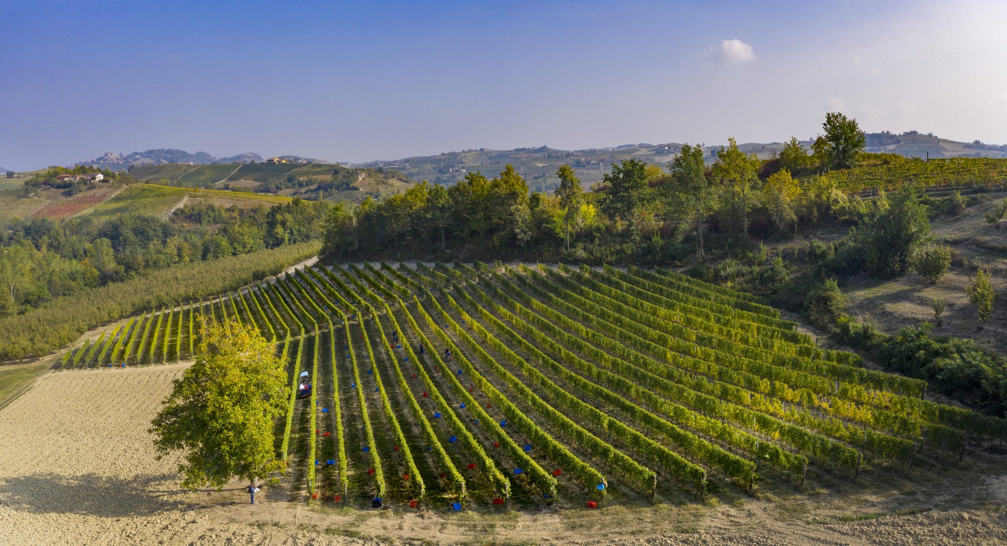 Cascina Corte