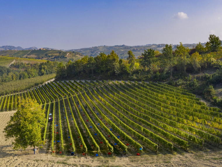 Cascina Corte, Dogliani, Italy