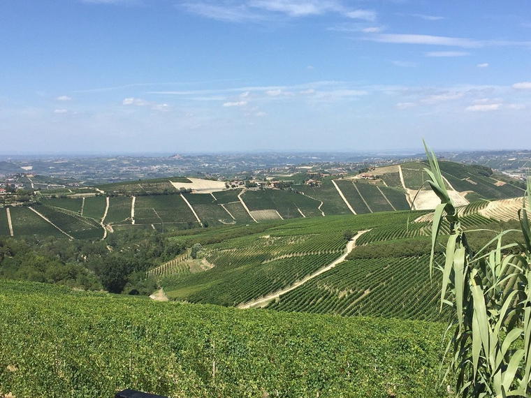 Abrigo Orlando, Treiso, Italy