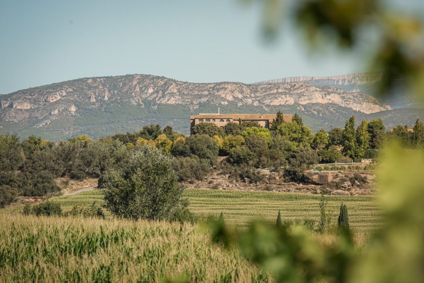 Bodegas Costers del Sio