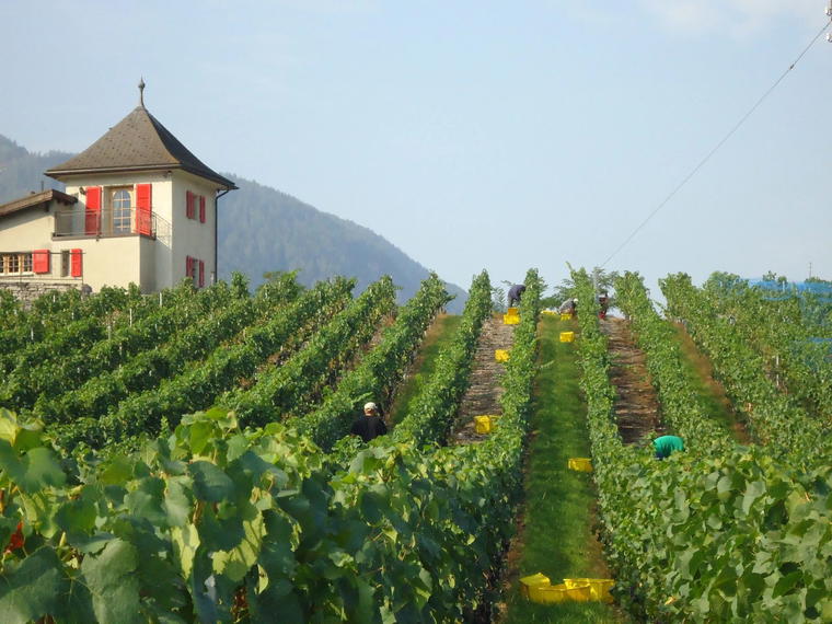 Les Fils de Charles Favre, Sion, Switzerland