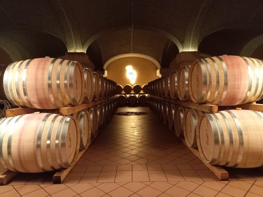 Cavazza, Winery in Montebello Vicentino
