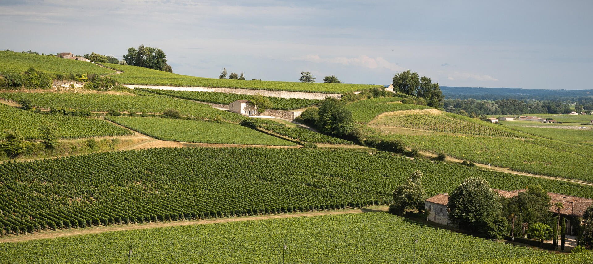 Château Capet-Guillier, Winery in Saint Hippolyte