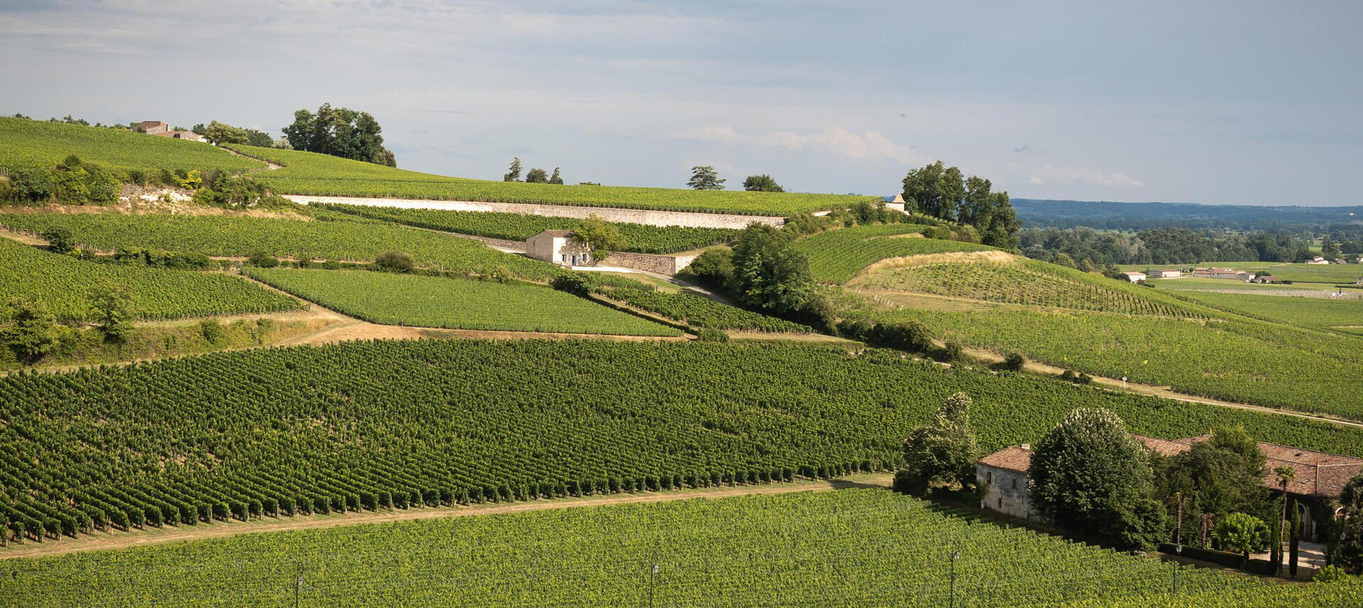 Château Capet-Guillier winery in Saint Hippolyte