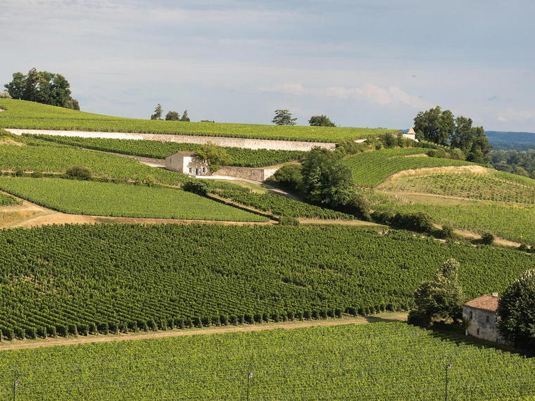 Château Capet-Guillier, Saint Hippolyte, France