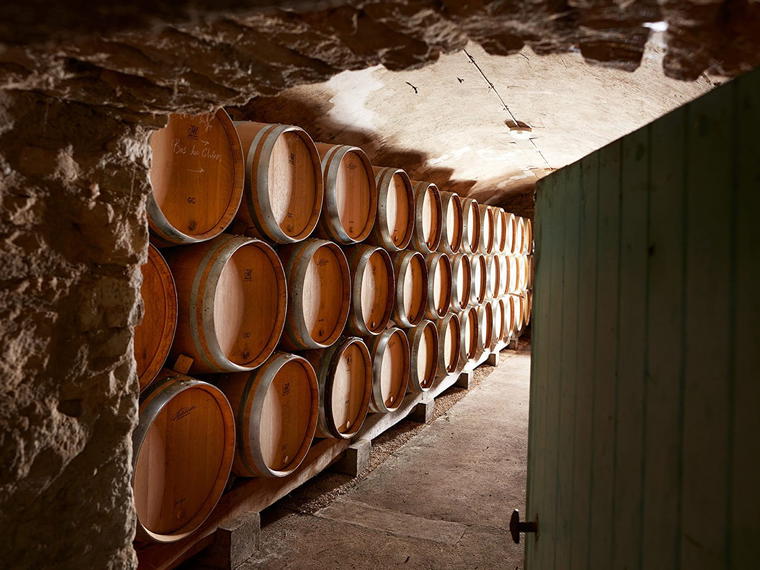 Domaine Michel Briday, Rully, France