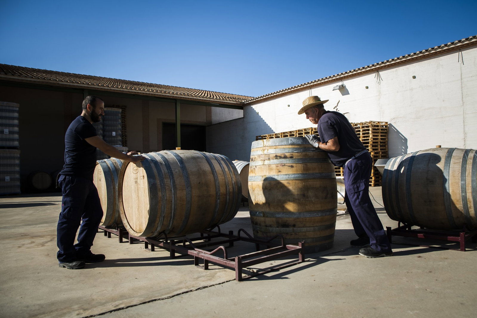 Bodegas Shaya, Aldeanueva Del Codonal, Spain