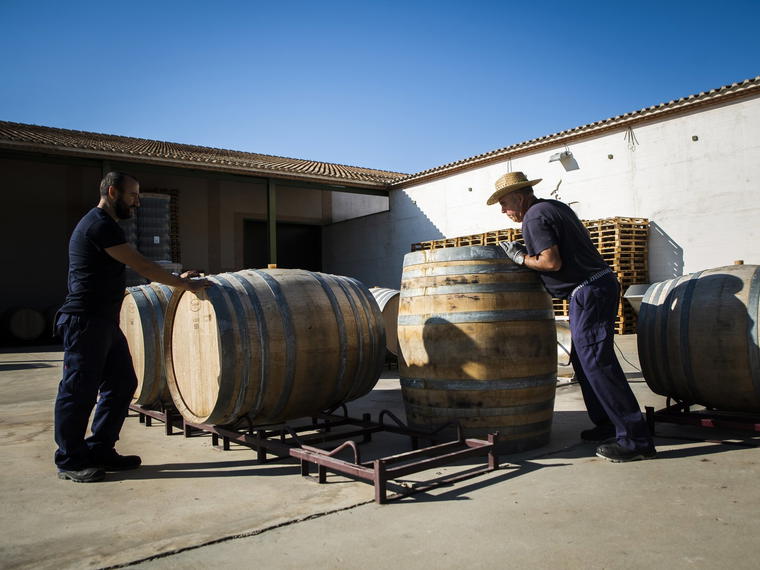 Bodegas Shaya, Aldeanueva Del Codonal, Spain