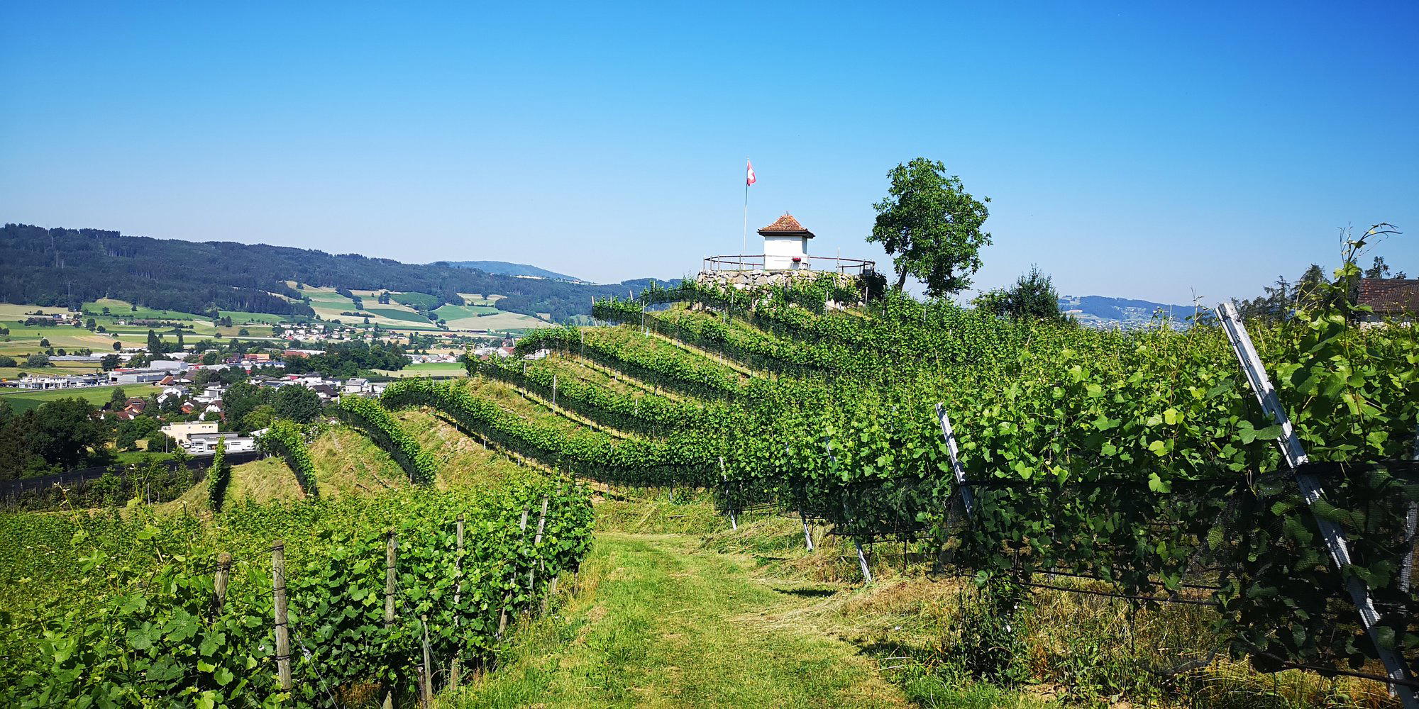 Kaiserspan Weinbau winery in Hitzkirch