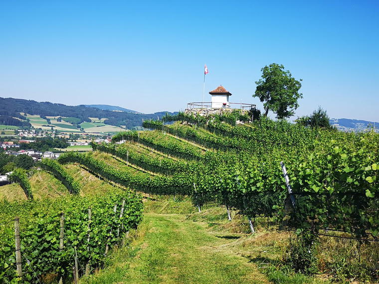 Kaiserspan Weinbau, Hitzkirch, Switzerland