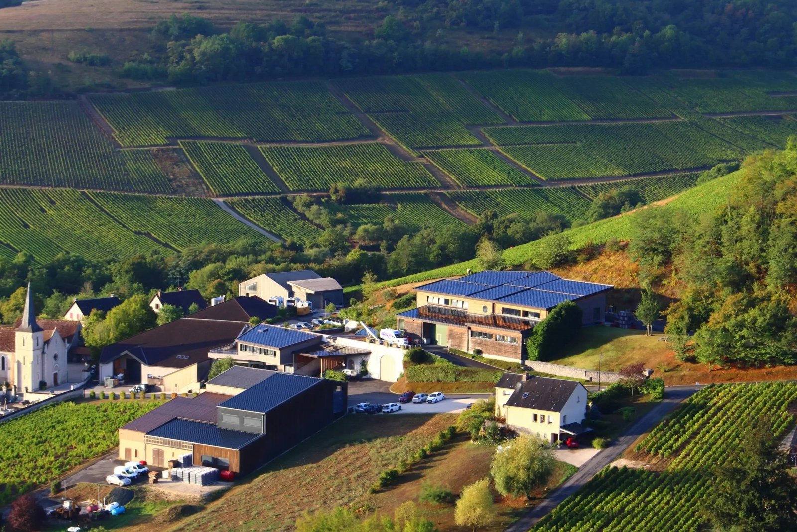 Domaine Henri Bourgeois winery in Loiré, France