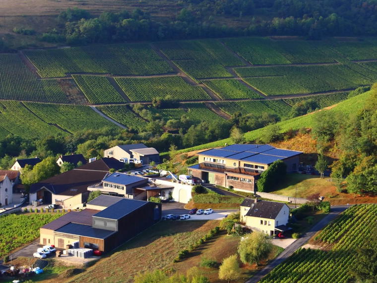 Domaine Henri Bourgeois, Sancerre, France