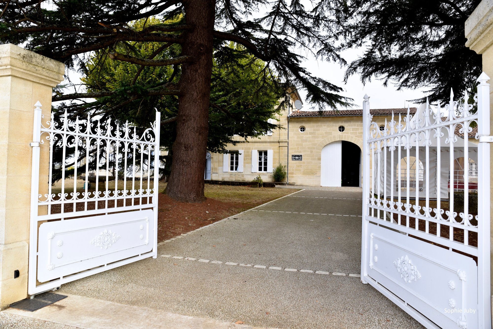 Château Le Puy, Winery in Saint Cibard