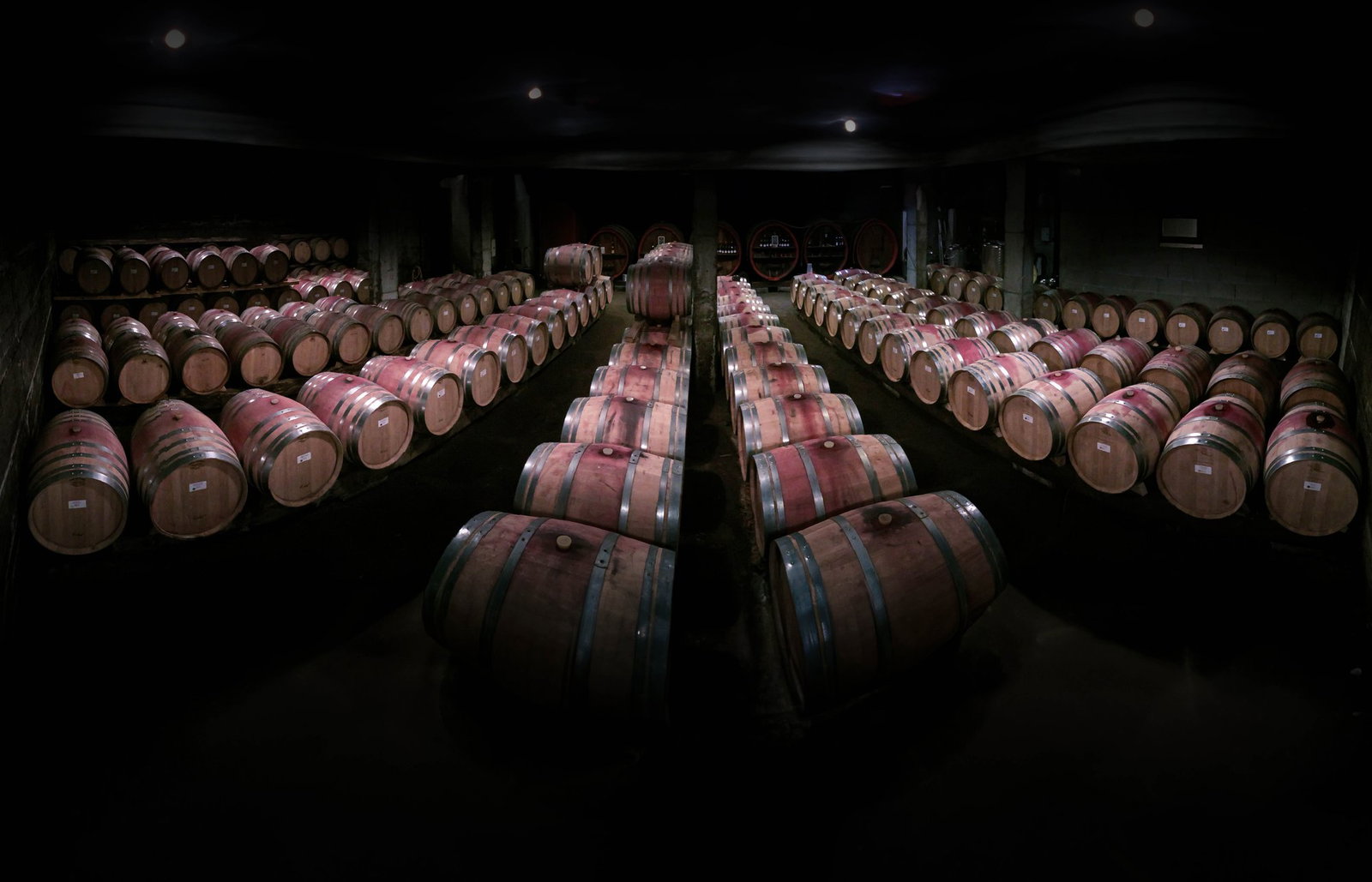 Domaine de Rosiers, Ampuis, France