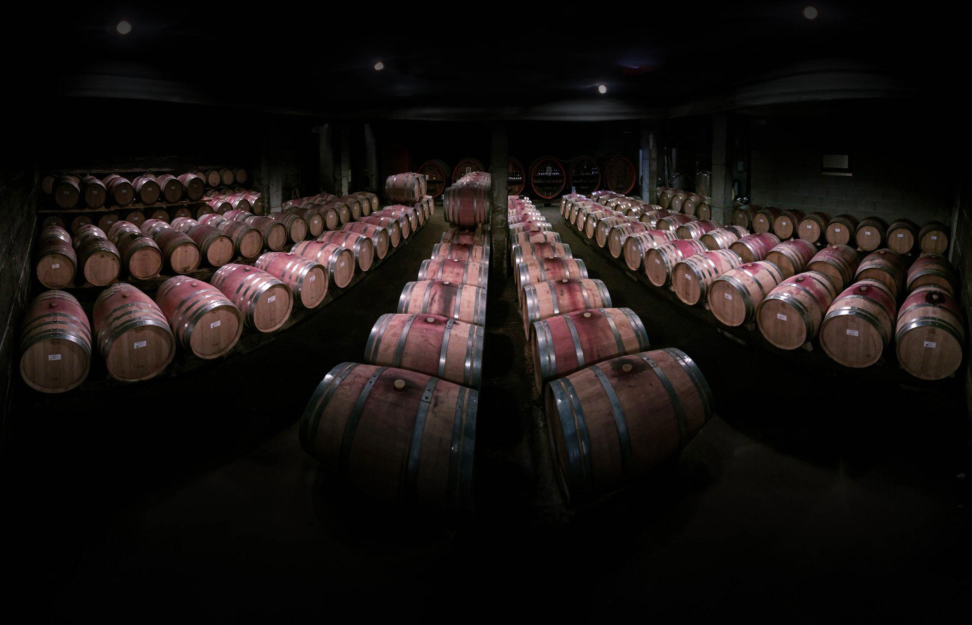 Domaine de Rosiers winery in Ampuis