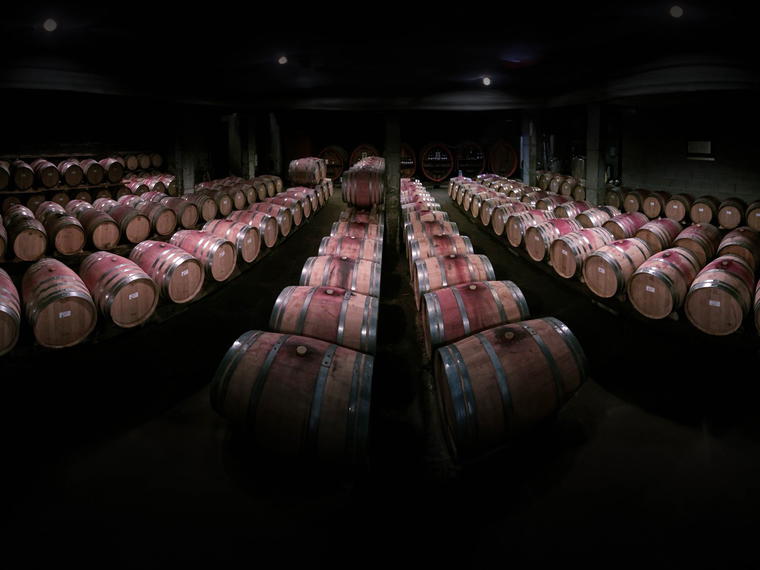 Domaine de Rosiers, Ampuis, France