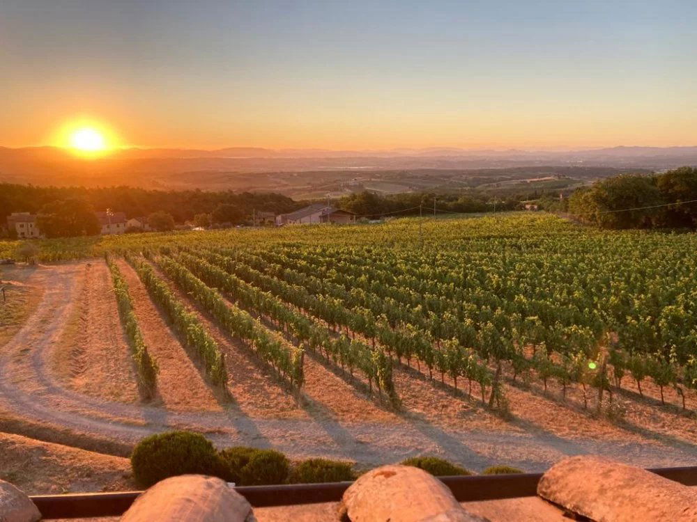 Croce di Febo, Winery in Montepulciano