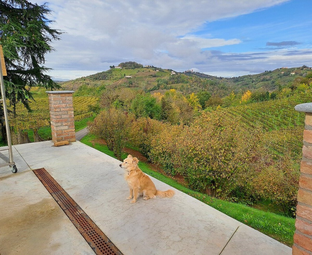 Azienda Agricola 499