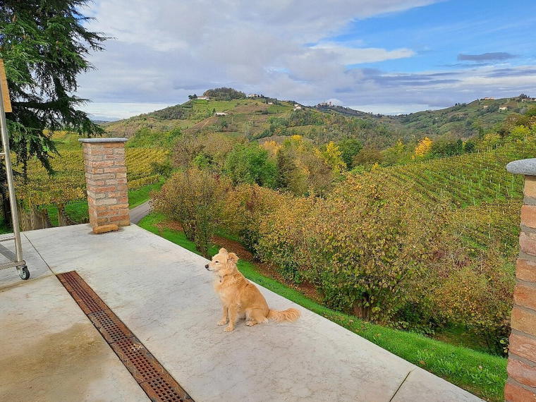 Azienda Agricola 499, Santo Stefano Belbo, Italy