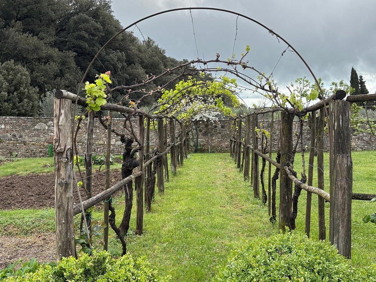 Querciavalle - Losi, Castelnuovo Berardenga, Italy