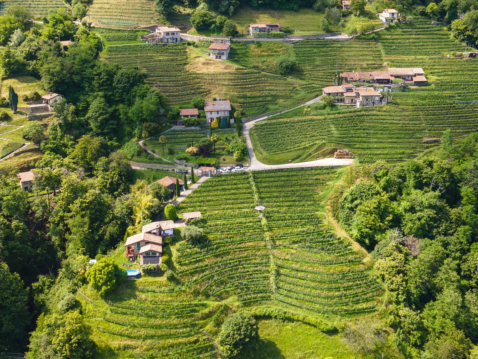Cantina Monti, Cademario, Switzerland