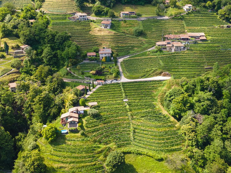 Cantina Monti, Cademario, Switzerland