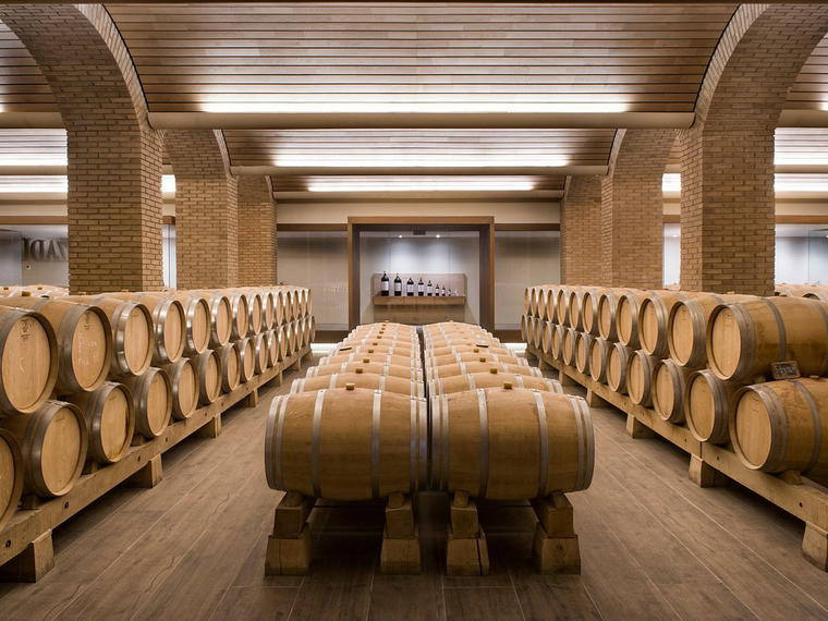 Bodegas Izadi, Villabuena De Alava, Spain