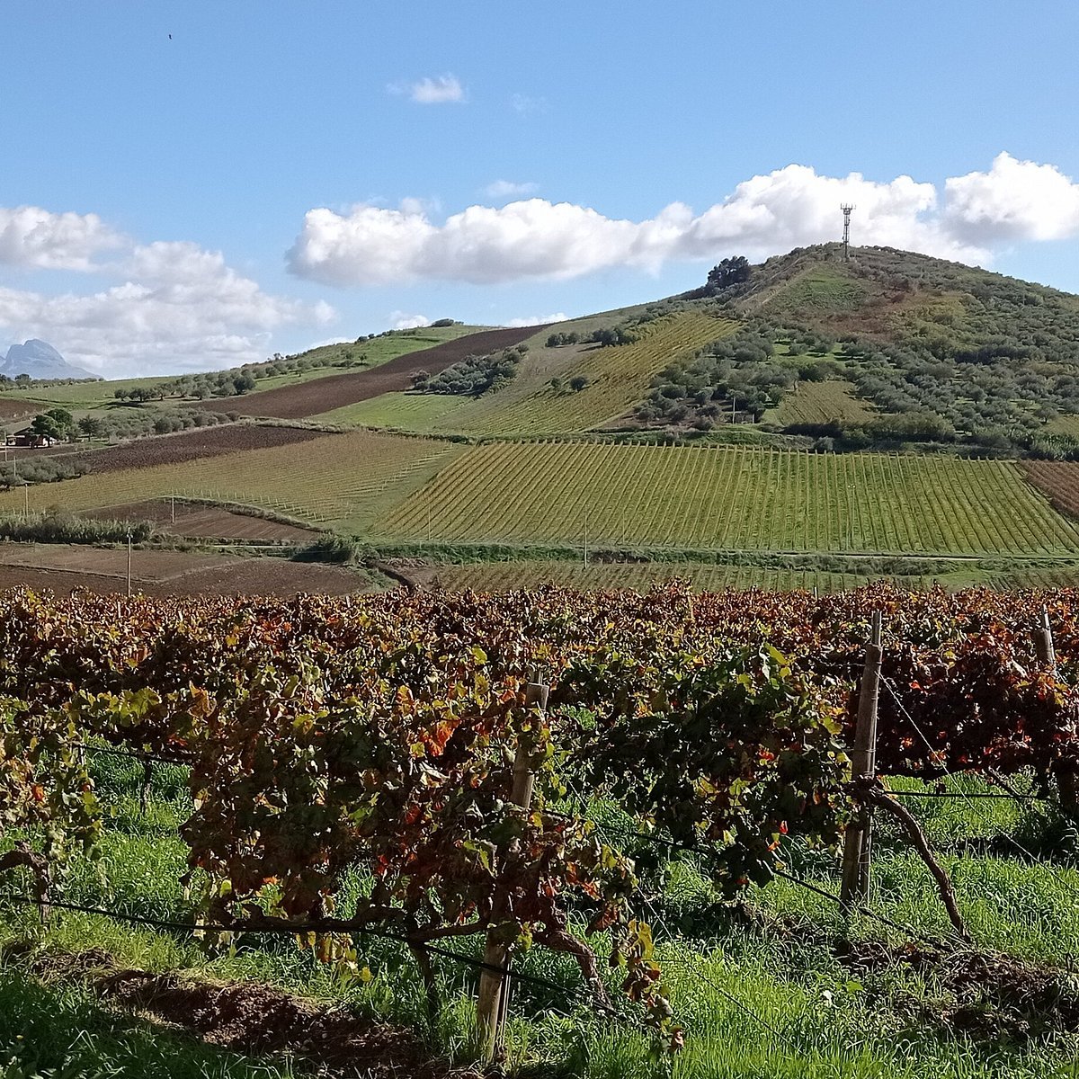 Alessandro di Camporeale, Camporeale, Italy