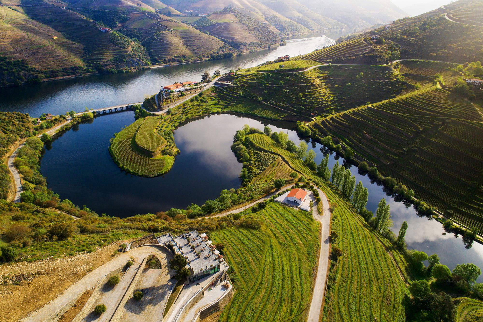 Chronicle Vineyards, Winery in Rio Tinto