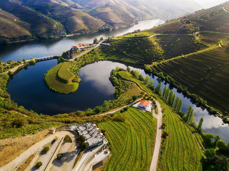 Chronicle Vineyards, Rio Tinto, Portugal