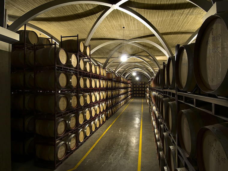 Bodegas Rosario Vera, Guardia, Spain
