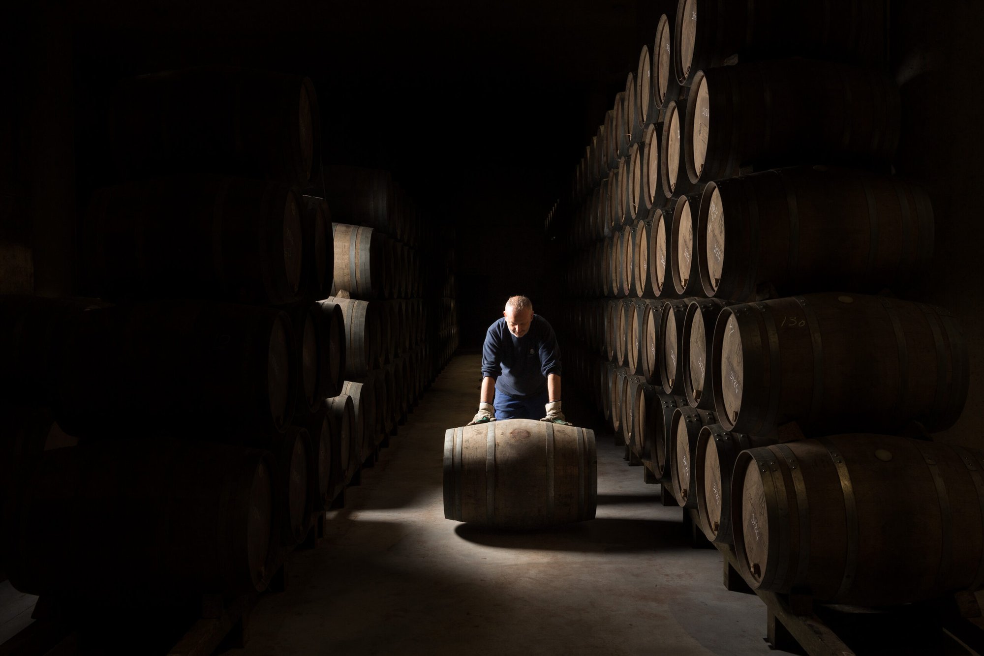 Martinez Lacuesta winery in Haro