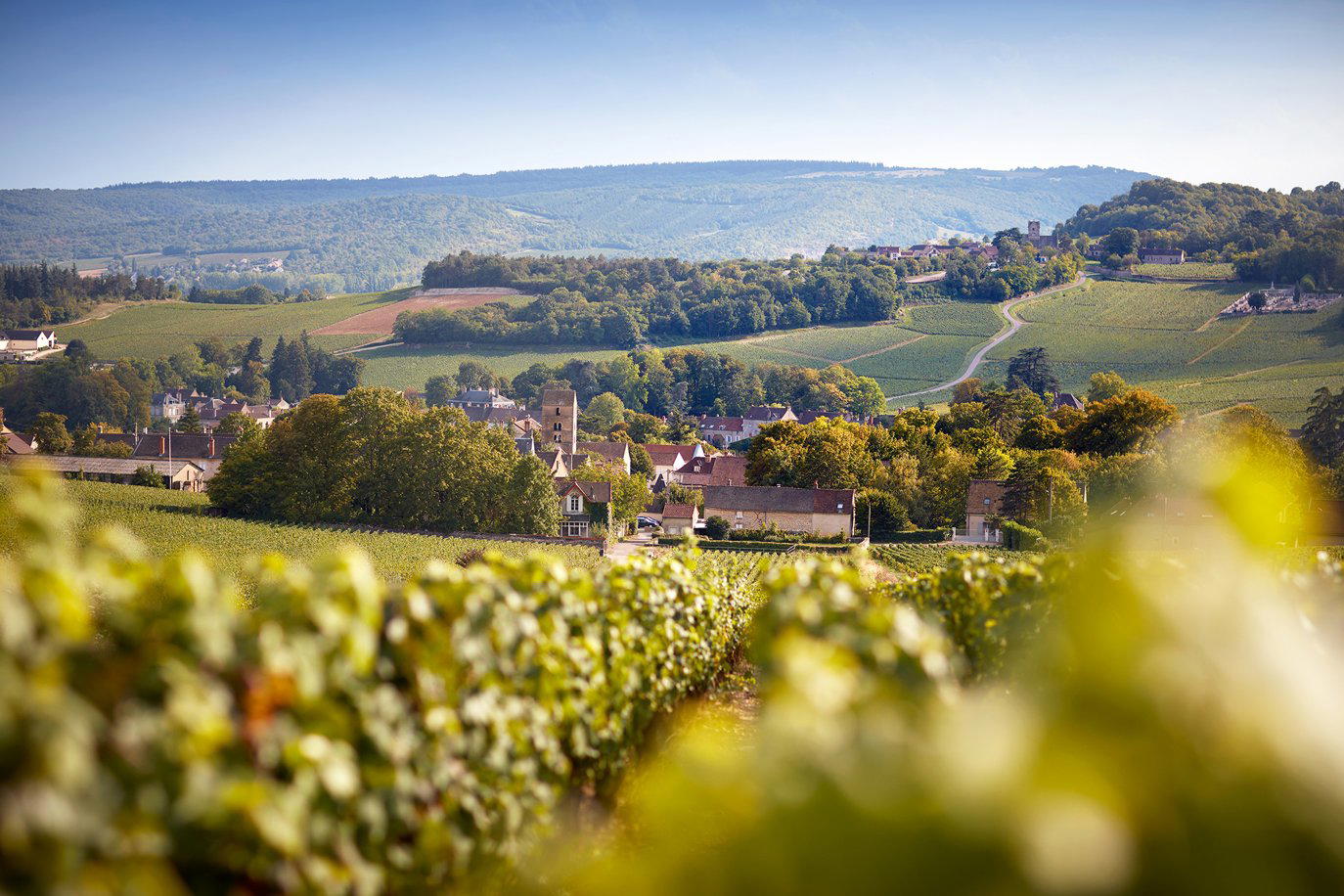 Domaine de la Bressande winery in Mercurey