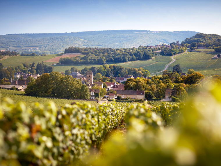 Domaine de la Bressande, Mercurey, France