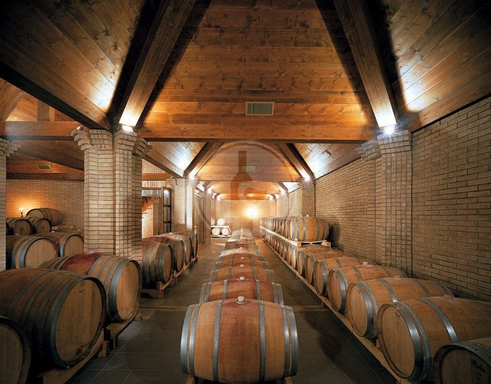 Cantine Agriverde, Winery in Caldari Di Ortona