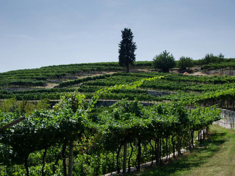 Ca' La Bionda, Marano di Valpolicella, Italy