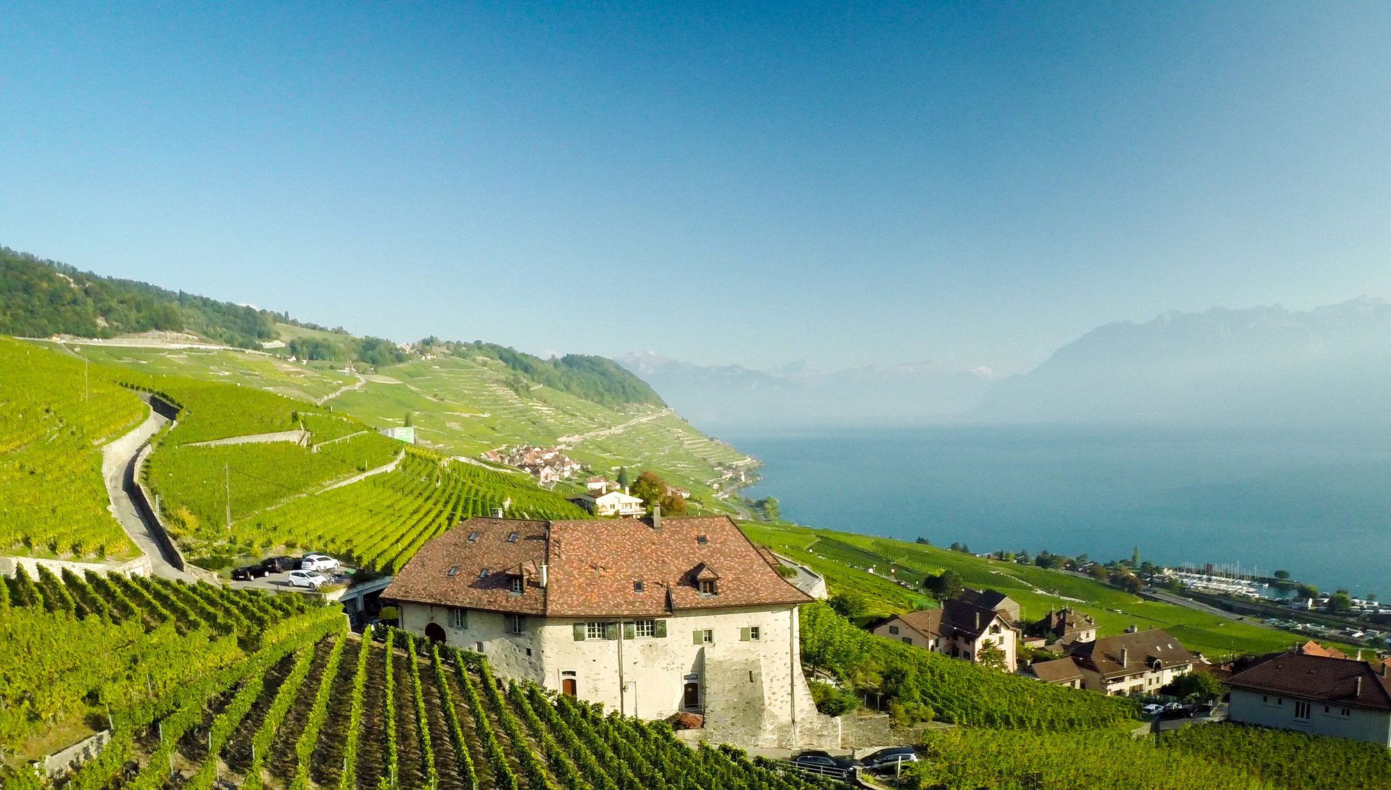 Bourgeoisie de Fribourg, Winery in Freiburg