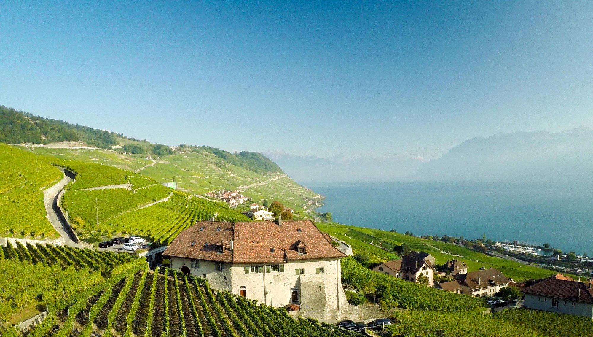 Bourgeoisie de Fribourg winery in Freiburg