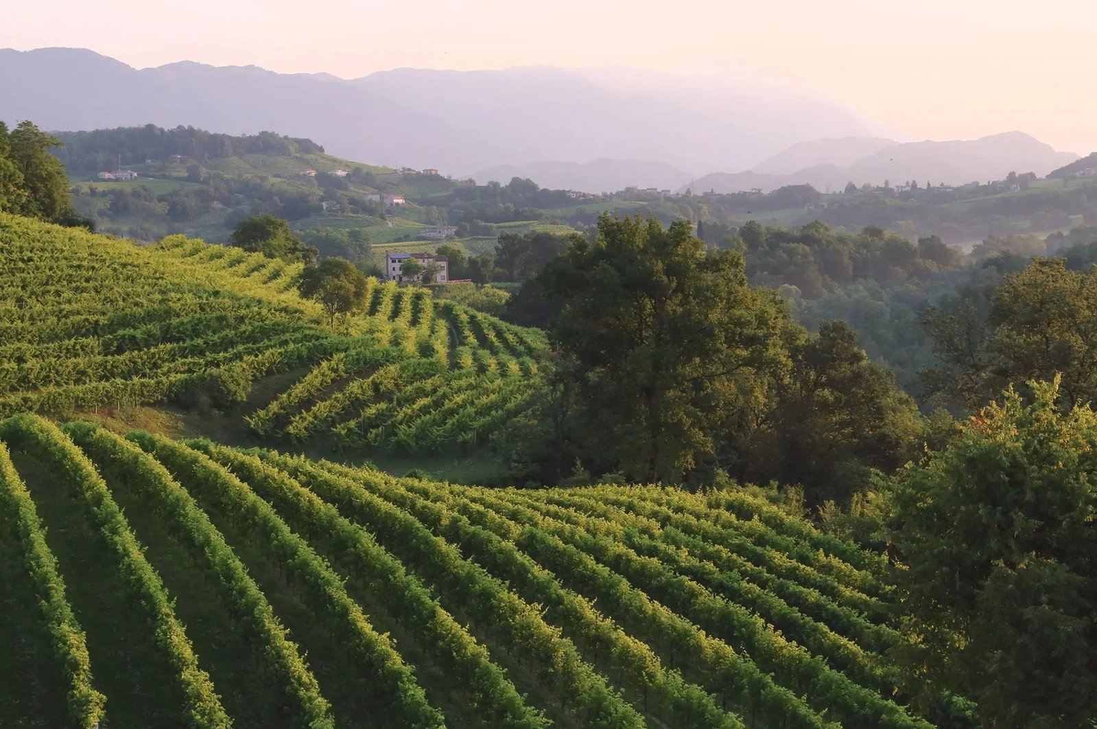 Cantina Bernardi, Refrontolo, Italy