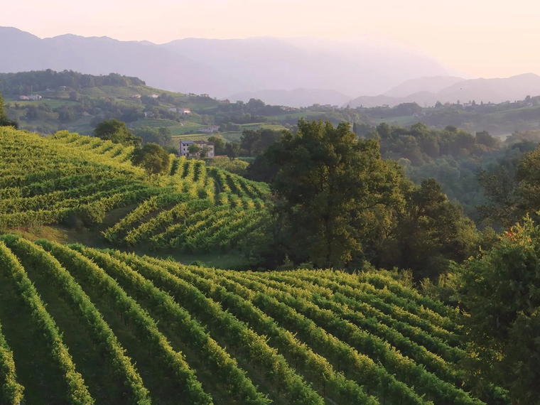 Cantina Bernardi, Refrontolo, Italy