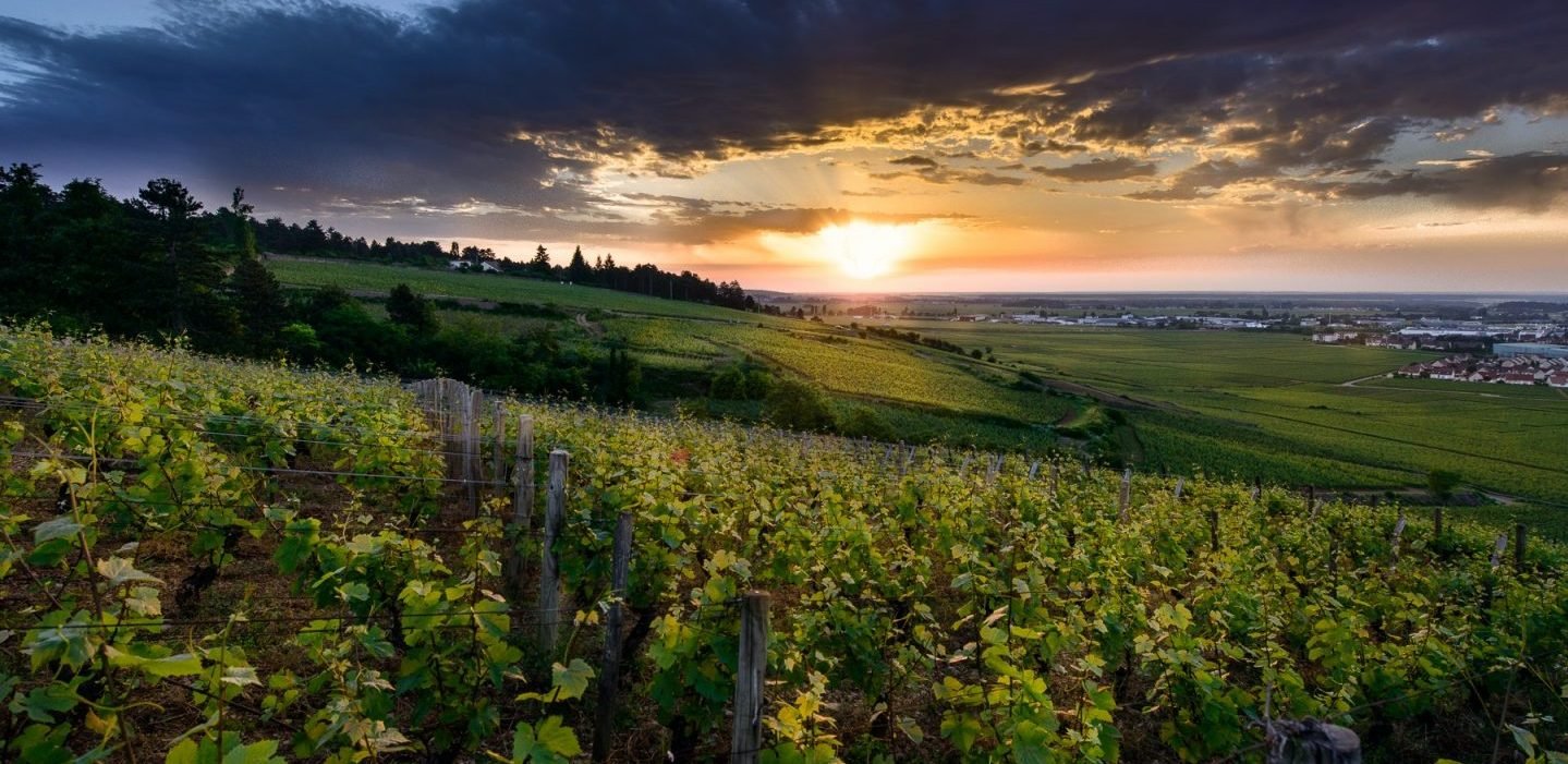Domaine des Croix