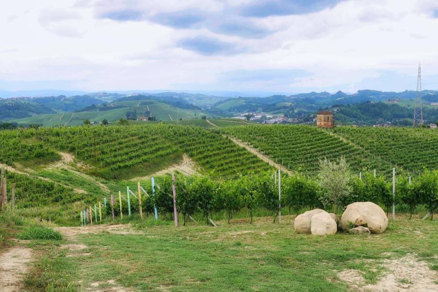 Azienda Vitivinicola Cascina Casanova, Alba, Italy