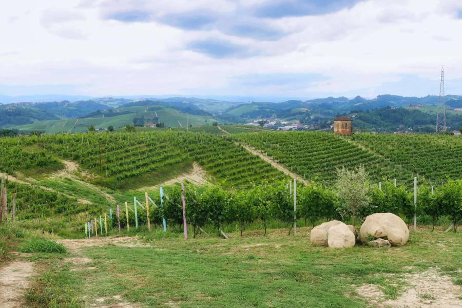 Azienda Vitivinicola Cascina Casanova winery in Alba, Italy