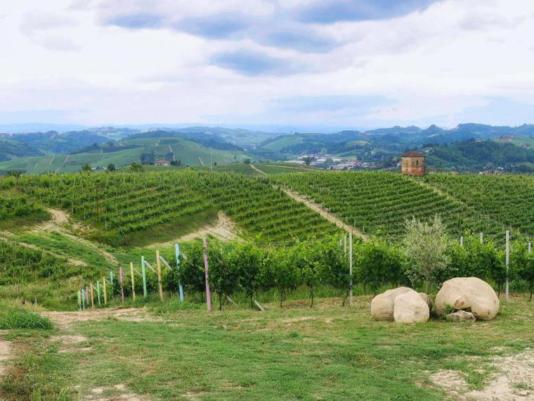 Azienda Vitivinicola Cascina Casanova, Alba, Italy