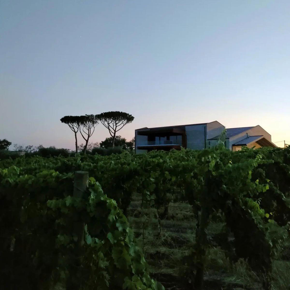CantinAmena winery in Lanuvio