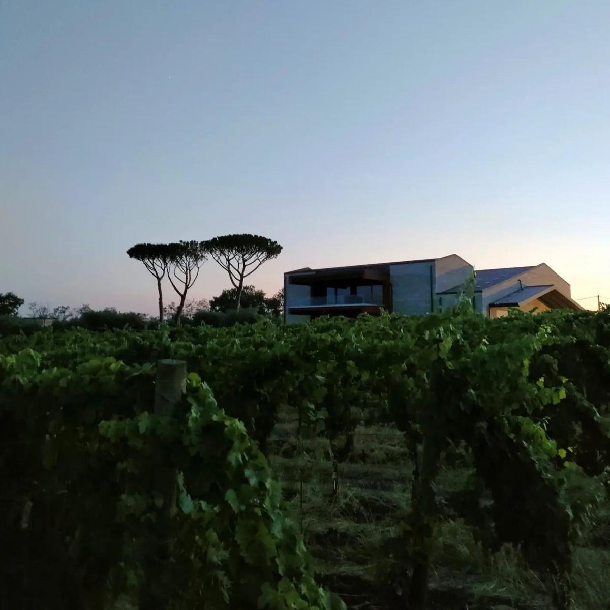 CantinAmena, Lanuvio, Italy