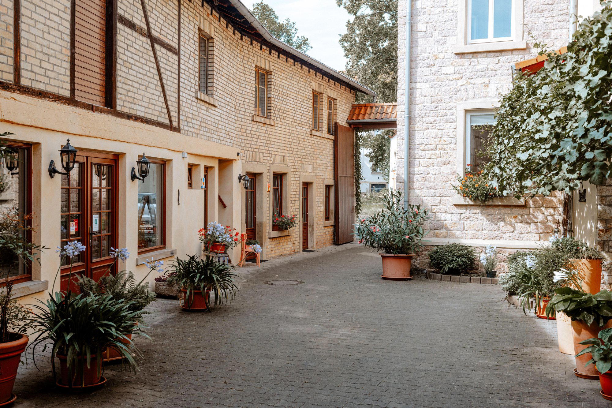 Weingut Zimmermann winery in Siefersheim
