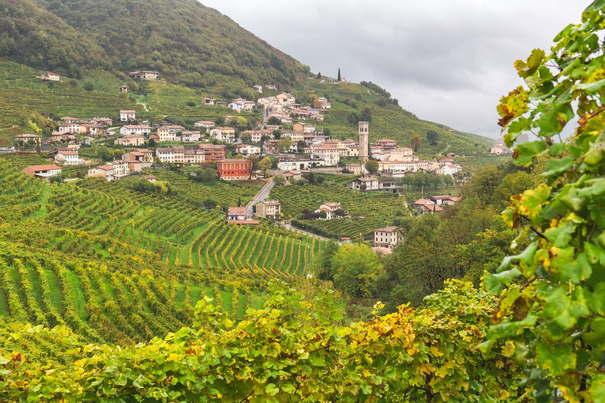 Aldo Degani, Winery in Marano di Valpolicella