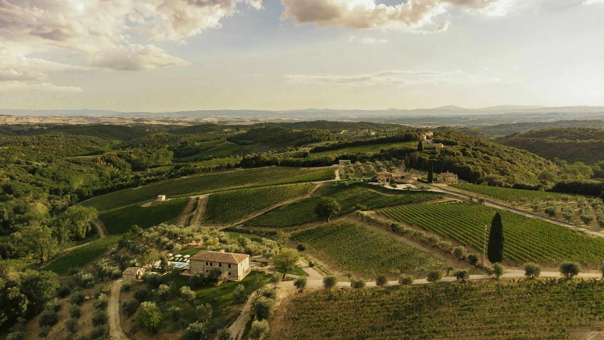 Boschetto Campacci, Winery in Castelnuovo Berardenga